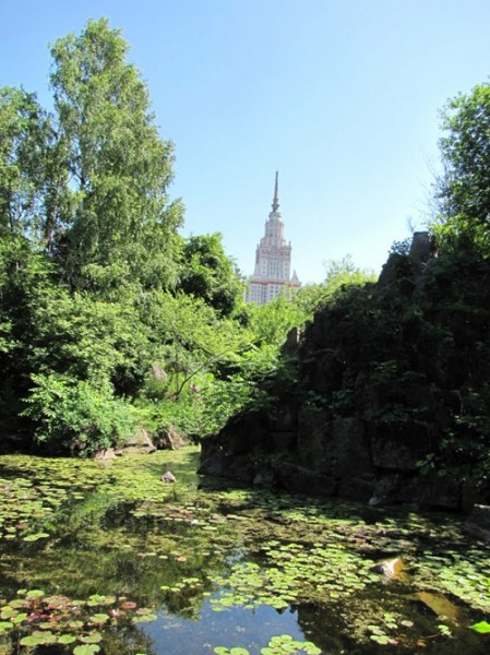 Фотография достопримечательности. Ботанический Сад МГУ в Санкт-Петербурге