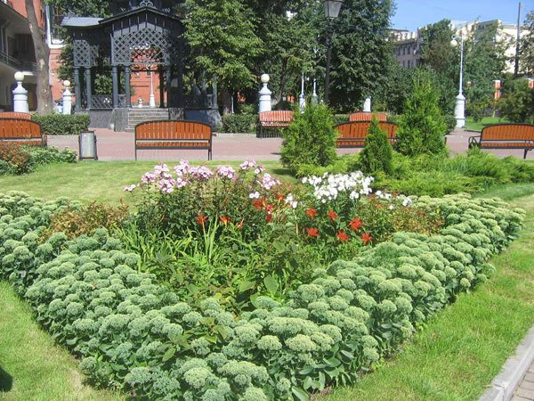 Фотография достопримечательности. Сад Аквариум в Санкт-Петербурге